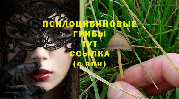 тгк Алексин
