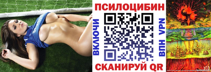 Галлюциногенные грибы GOLDEN TEACHER  Дубовка 